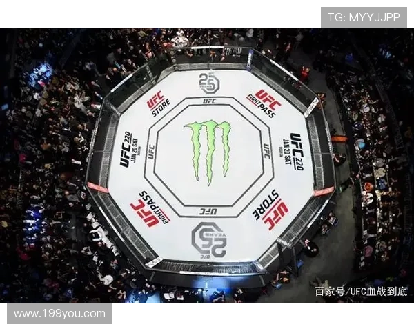 开云揭秘UFC八角笼盘口回合数KO玩法电竞BP战术克制爆冷预测